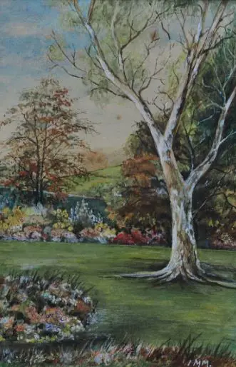 I.M.M. - Tree in Garden Image 1++