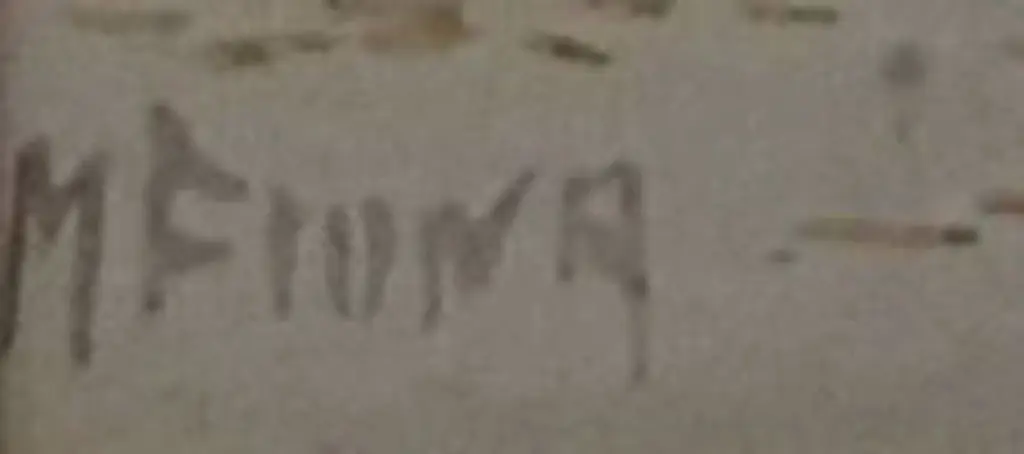 FIONA, N. - Camels and Date Palms Image 1++