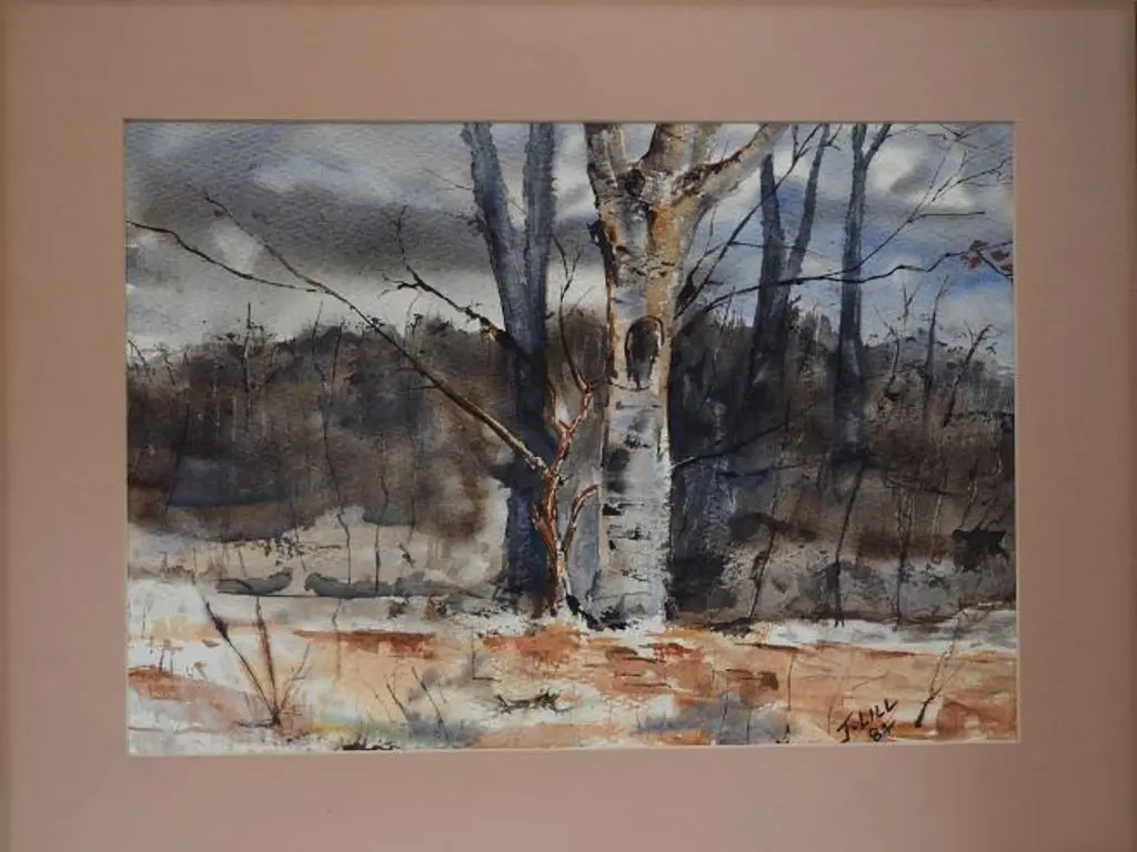 LILL, J. - After the Bushfire, 1984 Image 1++