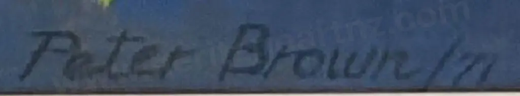 BROWN, Peter (1921-2005) - Still Life with Jugs, Bottle and Fruit Image 1++