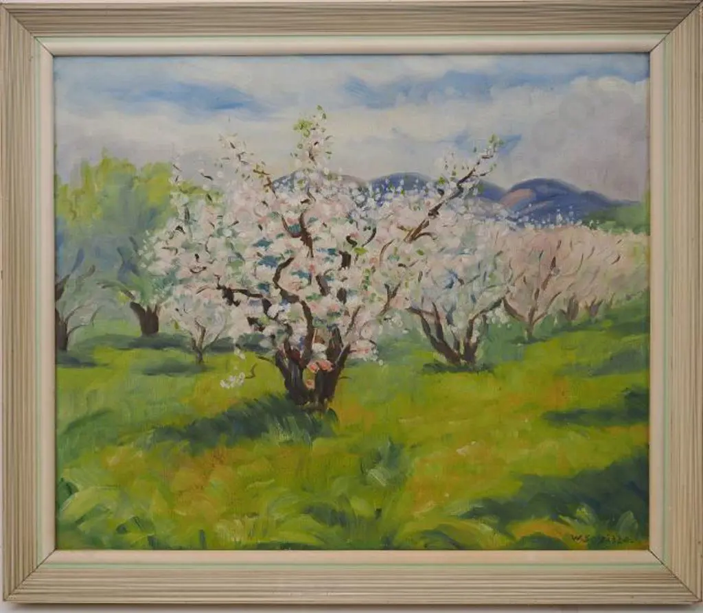 SEVILLE, W. - Trees in Blossom in Grove Image 1++