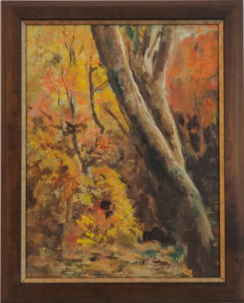 UNKNOWN artist - Tree in Forest Image 1++