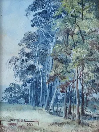 STEEL - Australian Gum Trees Image 1++