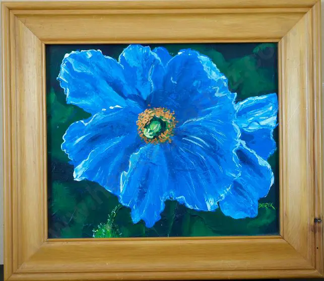 PARKER-LITTLE, Derek (-2014) - Blue Poppy Image 1++