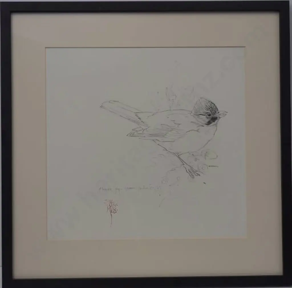 CHING, Raymond Harris (1939-) - Jay - pencil drawing for Reader's Digest Book of British Birds Image 1++