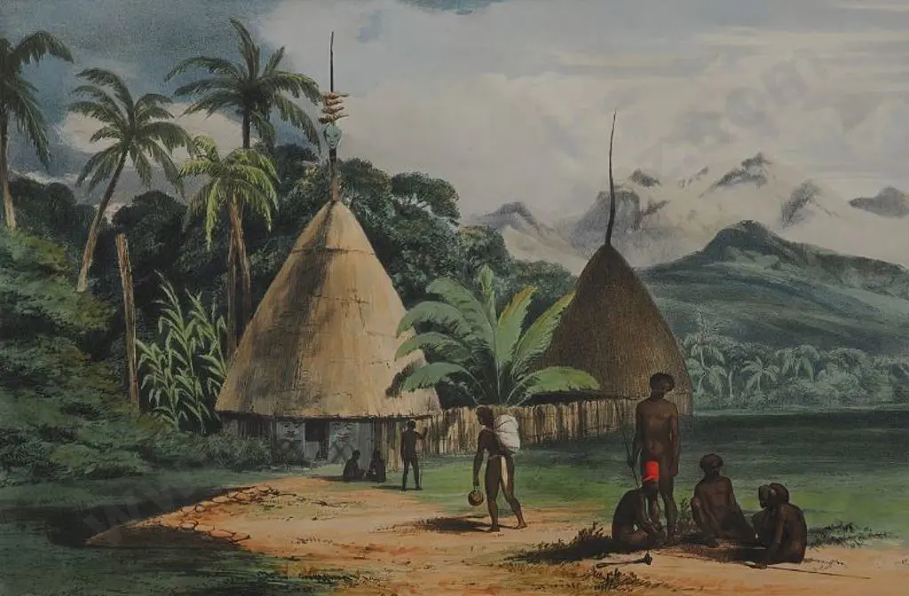 OLIVER, Richard Aldworth (1811-1889) - Puebo, New Caledonia Image 1++