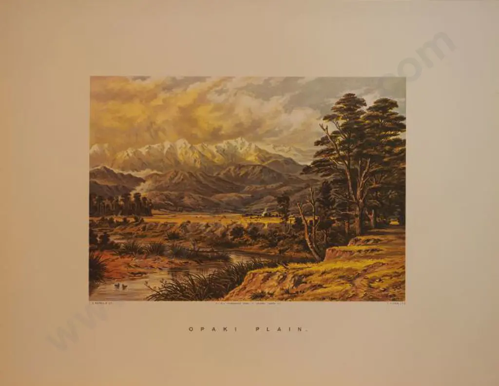 BARRAUD, Charles Decimus (1822-1897) - Opaki Plain - New Zealand Graphic & Descriptive (1877) Image 1++