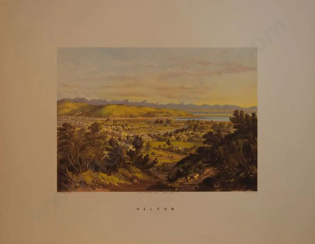 BARRAUD, Charles Decimus (1822-1897) - Nelson - New Zealand Graphic & Descriptive (1877) Image 1++
