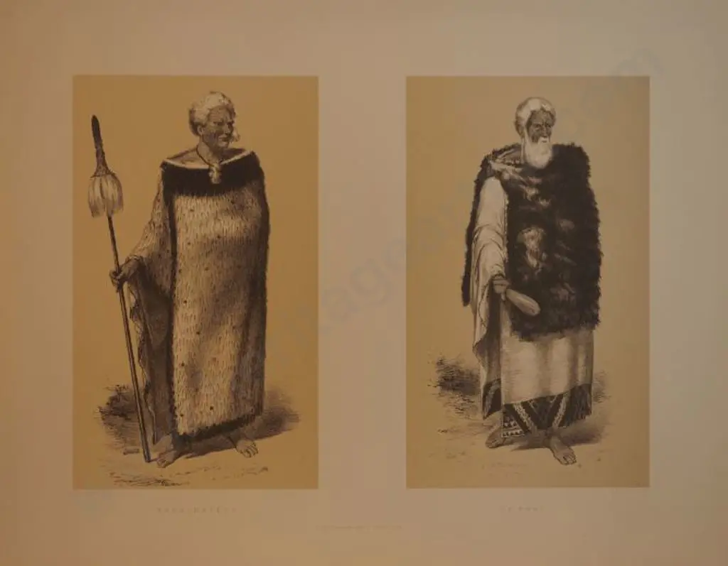 BARRAUD, Charles Decimus (1822-1897) - Chief Rangihaieta and Chief Te Puni - New Zealand Graphic & Descriptive (1877) Image 1++
