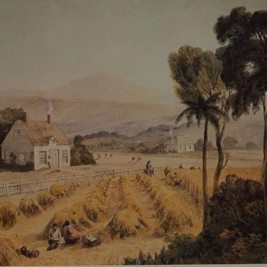 MAPLESTONE, Henry (1819-1884) - Mr Jolies House, Nelson c. 1849