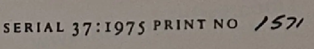 BREES, Samuel Charles (1810-1868) - View of Petoni from the Western Shore of Port Nicholsion c.1843 Image 1++