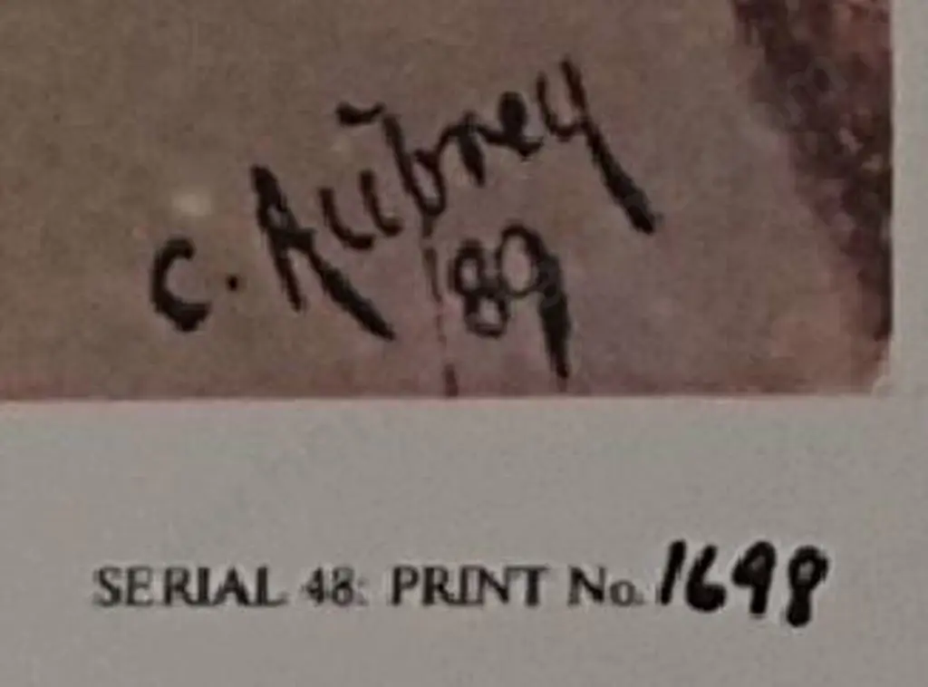 AUBREY, Christopher (1868-1906) - Brougham Street, Mt Victoria, Wellington, 1889 Image 1++