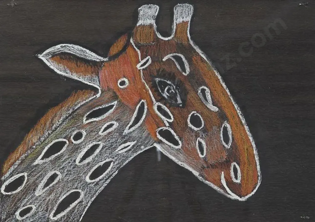 BENSON, Chloe - Head of a Giraffe Image 1++