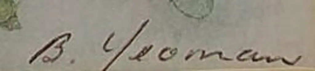 YEOMAN, Beryl (1912-1970) - Flower Study Image 1++