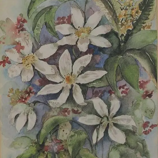 YEOMAN, Beryl (1912-1970) - Flower Study