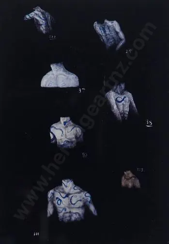 LAUTOUR, Tony de (1965-) - Body Corp 2 Image 1++