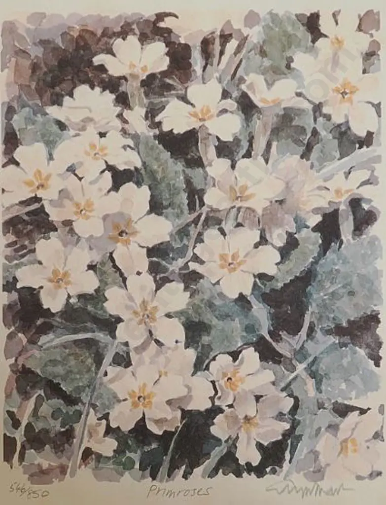 UNKNOWN Artist - Primroses Image 1++