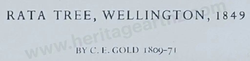 GOLD, Lt. Gen. Charles Emilius (1809-1871) - Rata Tree, Wellington, 1849 Image 1++