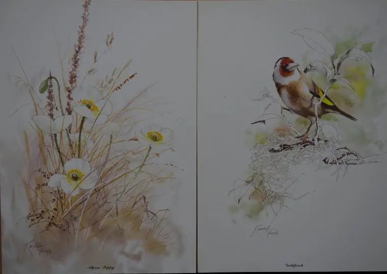 FROUDE, Randall (1930-) - Nature of Europe Image 1++