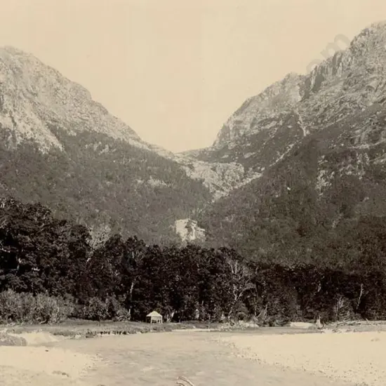 UNKNOWN - Southern Alps in Summer
