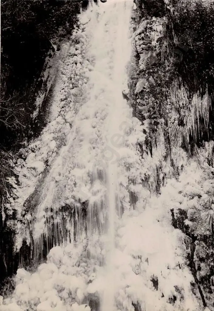 UNKNOWN - Blowhole Image 1++