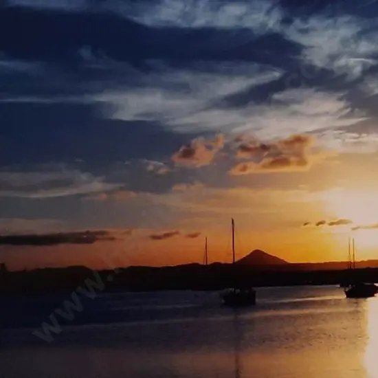 ARNISON, Nigel (Active 2000s) - Noosa, 2001