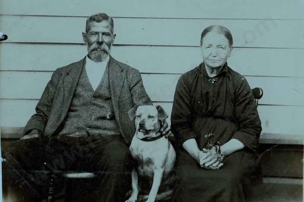UNKNOWN - Elderly Couple & Family Dog - late 19th Century Image 1++