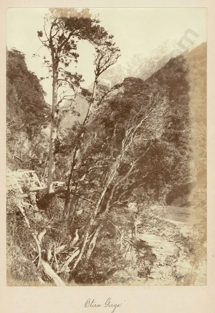 UNKNOWN - Otira Gorge, c. 1880 Image 1++