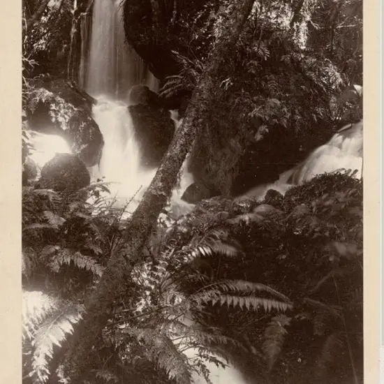 UNKNOWN - Falls, Lake Tarawera, c. 1880