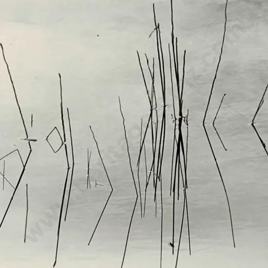 CASBOLT, Frederick Lennard (1896-1987) - Shallows