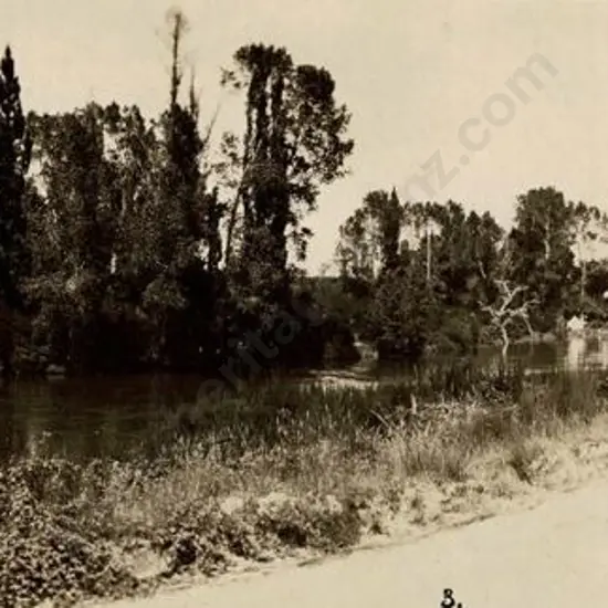UNKNOWN - Taupo, Road & River, Late 19th Century