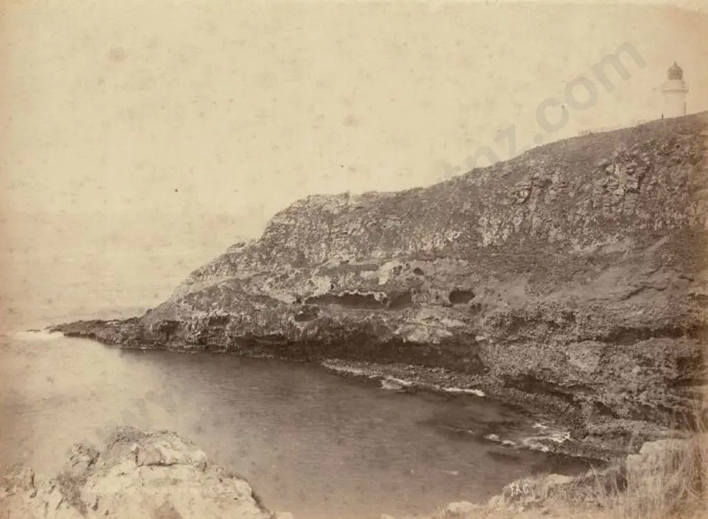 COXHEAD, Frank Arnold (1851-1908) - F.A.C. - Taiaroa Head, Otago Harbour, c.1880s Image 1++
