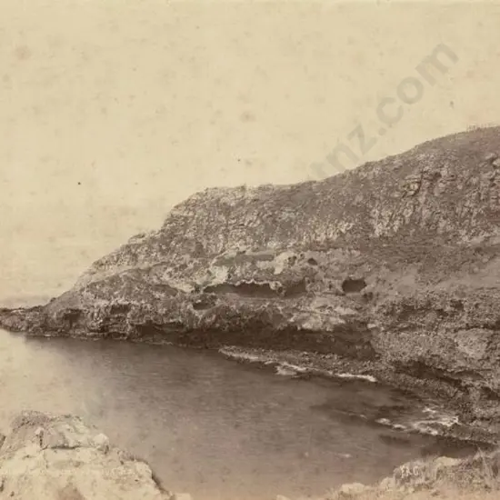 COXHEAD, Frank Arnold (1851-1908) - F.A.C. - Taiaroa Head, Otago Harbour, c.1880s