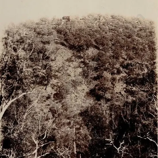 UNKNOWN - Bush Scene, c. 1890