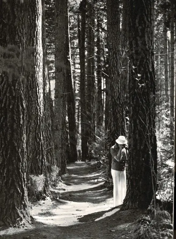 CASBOLT, Frederick Lennard (1896-1987) - Woodland Walk - Hanmer Forest Image 1++