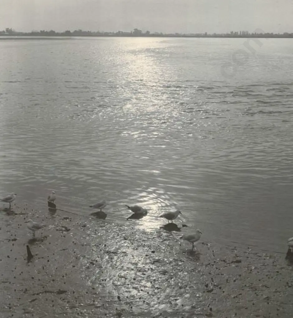 CASBOLT, Frederick Lennard (1896-1987) - At the Water's Edge Image 1++