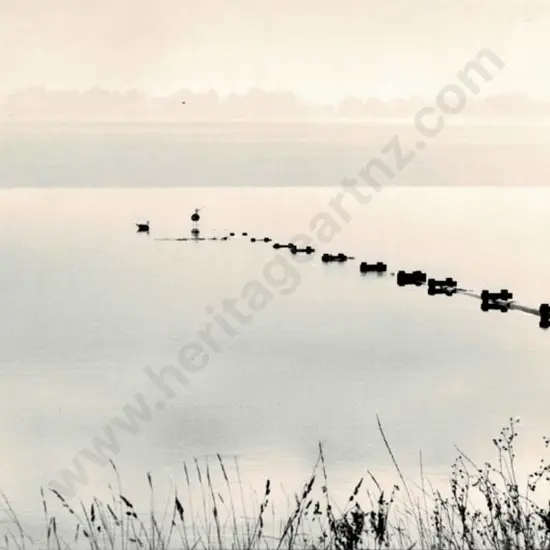 CASBOLT, Frederick Lennard (1896-1987) - Birds in the shallows