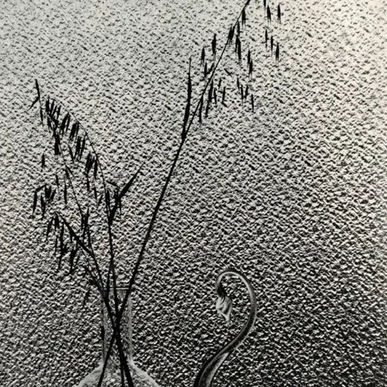 CASBOLT, Frederick Lennard (1896-1987) - The Mantlepiece