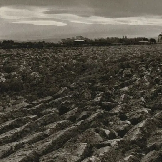 CASBOLT, Frederick Lennard (1896-1987) - The Good Earth