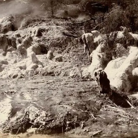 UNKNOWN - Steaming fissures - Rotorua Area, c.1880