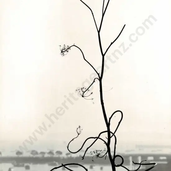 CASBOLT, Frederick Lennard (1896-1987) - Design by Nature No. 4