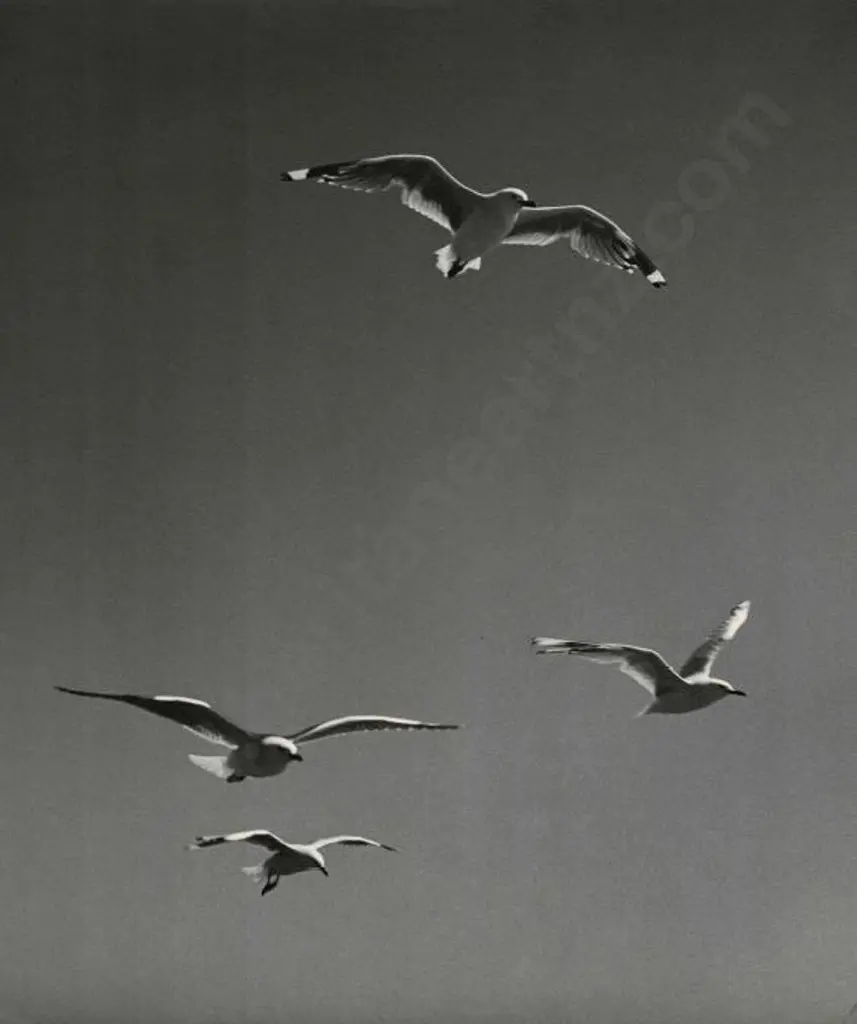 CASBOLT, Frederick Lennard (1896-1987) - Flight No. 2 Image 1++