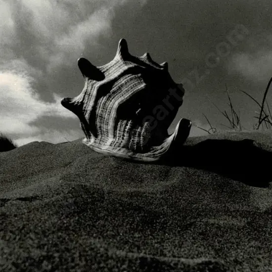 CASBOLT, Frederick Lennard (1896-1987) - Coming Over' - Sea Snail on Sand Dunes