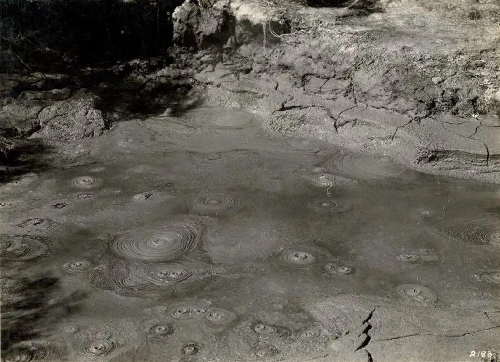 NZ GOVT PUBLICITY (Early 20th Cent.) - Mud Pools, Rotorua, c.1910 Image 1++