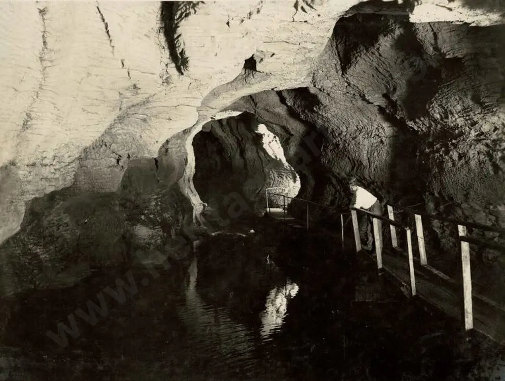 NZ GOVT PUBLICITY (Early 20th Cent.) - Inside Waitomo Cave,s c.1910 Image 1++