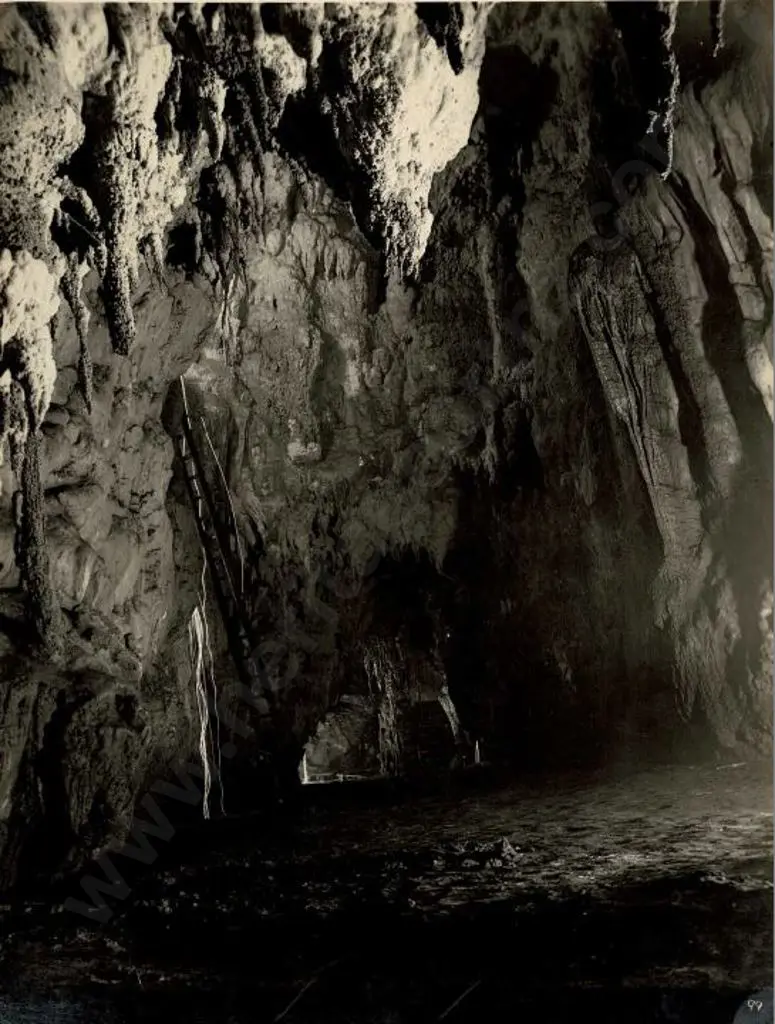 NZ GOVT PUBLICITY (Early 20th Cent.) - Cathedral, Waitomo Caves, c.1910 Image 1++