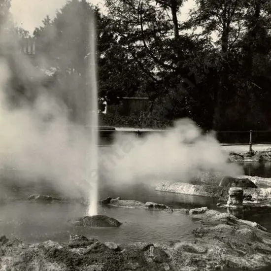 NZ GOVT PUBLICITY (Early 20th Cent.) - Hot Pools in Park, Rotorua, c. 1910