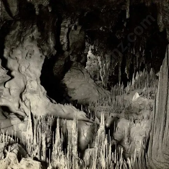 NZ GOVT PUBLICITY (Early 20th Cent.) - Stalagmites, Waitomo, c.1910