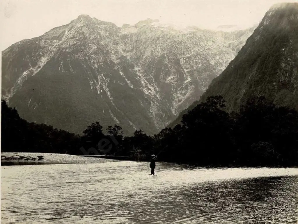 NZ GOVT PUBLICITY (Early 20th Cent.) - Trout Fishing in Arthur River, Milford Sound, c.1910 Image 1++