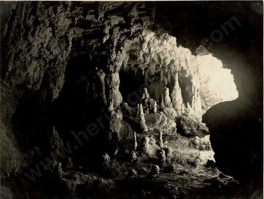 NZ GOVT PUBLICITY (Early 20th Cent.) - Stalacmites, Waitomo Caves, c.1910 Image 1++
